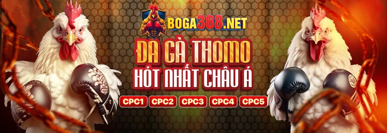 Mẹo cá cược bóng đá K9.cc