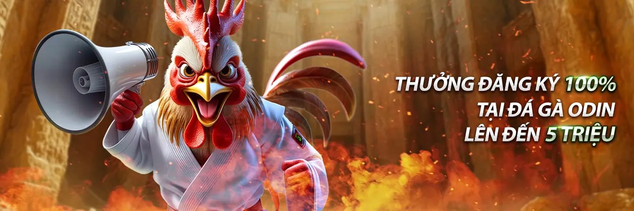 Đá gà trực tuyến K9.cc với các trận đấu kịch tính