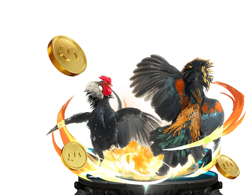 Các loại kèo cược đá gà phổ biến tại K9.cc