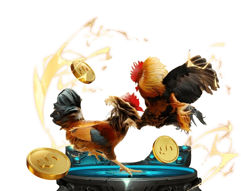 Giới thiệu về nền tảng đá gà trực tuyến uy tín K9.cc